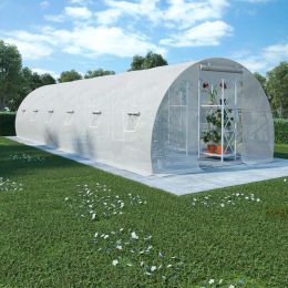Greenhouse 290.6ftÂ² 354.3"x118.1"x78.7"