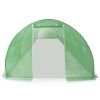 Greenhouse 290.6 ftÂ² 354.3"x18.1"x78.7"