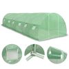 Greenhouse 290.6 ftÂ² 354.3"x18.1"x78.7"