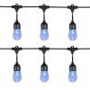 Electric 120 Volts Color Changing Shatterproof LED String Light with Remote Control 12 Count for Indoor & Outdoor Decor