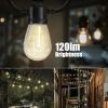 Solar LED String Lights, 15 Filament Bulbs, 34 Foot Length, 120 Lumens