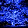 100LEDs Blue Solar String Light