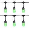 Electric 120 Volts Color Changing Shatterproof LED String Light with Remote Control 12 Count for Indoor & Outdoor Decor